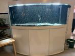 Aquarium juwel 450L, Dieren en Toebehoren, Vissen | Aquaria en Toebehoren, Ophalen, Zo goed als nieuw