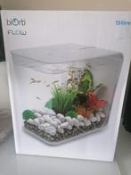 Aquarium complet facile d'entretien avec kit de démarrage, Animaux & Accessoires, Poissons | Aquariums & Accessoires, Comme neuf