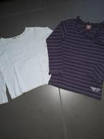 2 longsleeves maat 116, Kinderen en Baby's, Kinderkleding | Maat 116, Ophalen of Verzenden, Zo goed als nieuw, Meisje, Shirt of Longsleeve