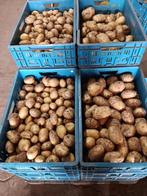 Aardappelen première, Zakelijke goederen, Landbouw | Aardappelen, Groenten, Fruit en Vlees, Ophalen