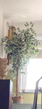 Plante artificielle 1m65, Huis en Inrichting, Woonaccessoires | Kunstplanten en Kunstbloemen, Ophalen, Gebruikt, Binnen