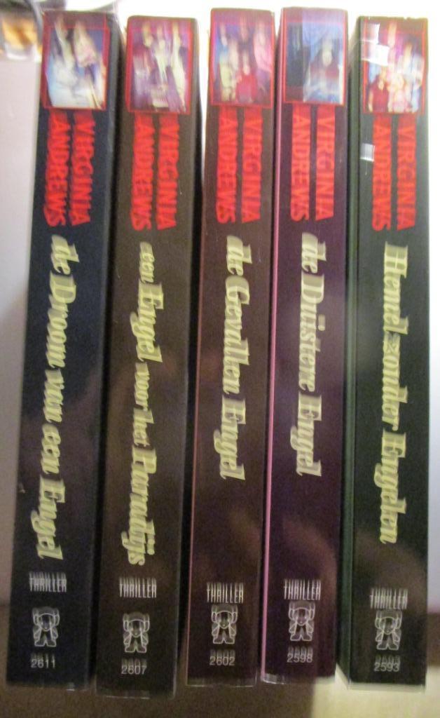 Virginia Andrews  5 delige Casteel-serie, Boeken, Thrillers, Zo goed als nieuw, Nederland, Ophalen of Verzenden