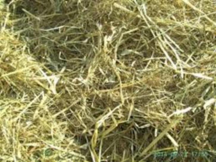 Voordroog hooi TOPKWALITEIT / GRATIS LEVERING, Dieren en Toebehoren, Stalling en Weidegang, Stalling, Accessoires