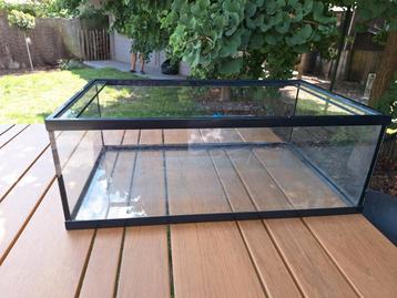 Schildpaddenaquarium 50x30x18cm (lxbxh) beschikbaar voor biedingen