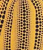 Yayoi Kusama: lithografie 40 bij 50 ingelijst, Ophalen of Verzenden