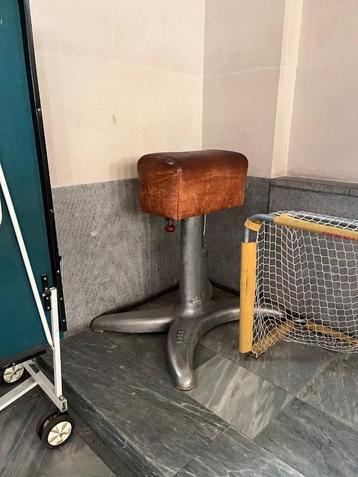 Oude springbok (niet gekeurd) beschikbaar voor biedingen