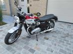 Triumph special T-120 Bud Ekins +cert, Motoren, 2 cilinders, Motorrijbewijs A, Particulier, Meer dan 35 kW