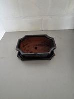 Bonsai potten, Ophalen of Verzenden, Gebruikt, Overige vormen