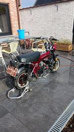 Dax 50 cc b klasse, Enlèvement, Comme neuf