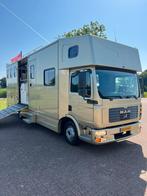 Uniek! Prachtige MAN 5-paards paardenvrachtwagen! 35.000KM!, Ophalen, Zo goed als nieuw, Aluminium