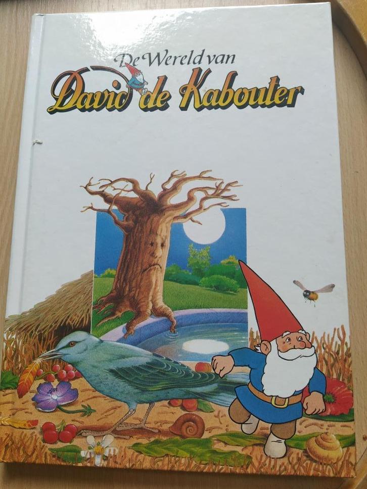 boek: David de kabouter + Kabouter Korsakov, Boeken, Kinderboeken | Jeugd | onder 10 jaar, Fictie algemeen, Ophalen of Verzenden