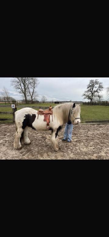 Oude Western zadels ideaal voor inrichting beschikbaar voor biedingen
