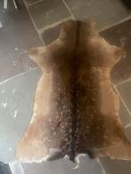 Rendierhuid, Enlèvement ou Envoi, ., Comme neuf, .