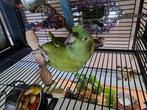 Amazone à nuque d'or, Dieren en Toebehoren, Vrouwelijk, Papegaai, Pratend