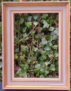 Klassieke Kader, Enlèvement ou Envoi