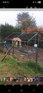 Kippenren met toebehoren groot. 3m -6m, Dieren en Toebehoren, Pluimvee