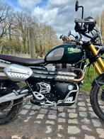 Scrambler 1200 Steve Mqueen, Particulier