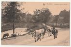 Rochefort Paysage au pont de Pierres - vaches- moutons, Verzamelen, Postkaarten | België, Ongelopen, Namen, Verzenden