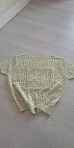 T-shirt gehaakte stof.Maat L, Kleding | Dames, Topjes, Ophalen of Verzenden, Nieuw, Maat 42/44 (L)