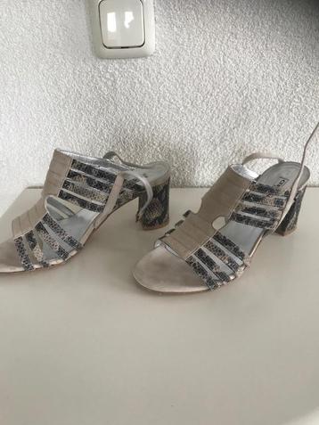 Te koop nieuwe open merk schoenen. beschikbaar voor biedingen