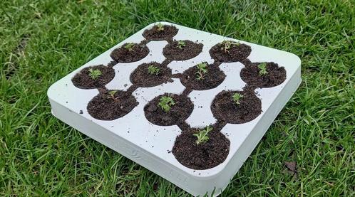 Zaaipotjes in tray, zaaibakjes, doos met 140 trays, nieuw, Tuin en Terras, Kweekspullen, Nieuw, Ophalen of Verzenden