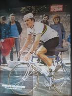 wielerposter 1981 team colnago wk freddy maertens signe, Verzenden, Zo goed als nieuw