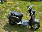 AGM Flash projectscooter, Vélos & Vélomoteurs, Cyclomoteurs | Marques Autre, Enlèvement, Utilisé, Classe B (45 km/h)