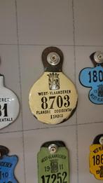 Plaque velo, Verzamelen, Ophalen