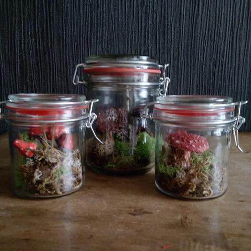 Paddenstoelen decoratie in bokaal.3 stuks!!, Antiek en Kunst, Curiosa en Brocante, Verzenden