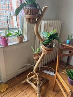 cobra plantes vintage, Maison & Meubles, Maison & Meubles | Autre, Enlèvement, Utilisé
