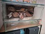 paludarium 80×50×40, Dieren en Toebehoren, Ophalen, Zo goed als nieuw
