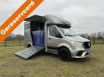 Mercedes-Benz Sprinter 319 AMG 2-paards paardenvrachtwagen B, Gebruikt, Info@hulshof-trading.nl, Overige typen, Hulshof-Trading