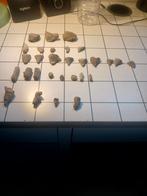 Lot fossielen, Verzamelen, Mineralen en Fossielen, Ophalen of Verzenden