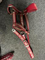 Licol, Animaux & Accessoires, Enlèvement, Utilisé, Récréation