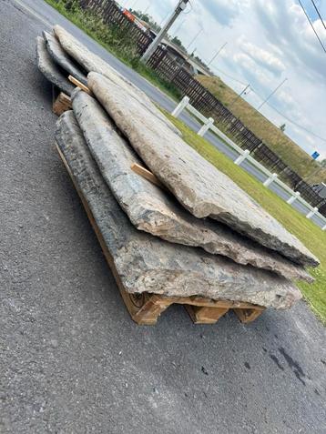 Koeslieten beschikbaar voor biedingen