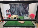 terrarium terratlantis  60x45x45, Ophalen of Verzenden
