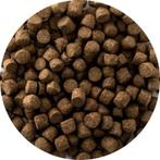 Koivoer | Top Koi | 6 mm | 2,6 liter (1250gr), Tuin en Terras, Ophalen of Verzenden, Nieuw