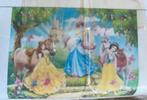 Diamond painting Disney Princessen, Verzenden, Zo goed als nieuw