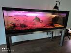 Mega Aquarium 2m lang 70cm hoog en 70cm breed., Dieren en Toebehoren, Overige typen, Zo goed als nieuw, Ophalen