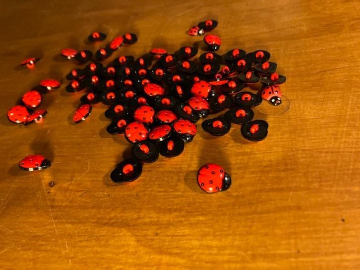 72 KLEINE KNOPEN LIEVEHEERSBEESTJES NIEUW FOURNITUREN, Hobby en Vrije tijd, Naaien en Fournituren, Nieuw, Knoop of Knopen, Ophalen of Verzenden