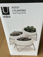 Bloempotjes op staander, Rond, Ophalen of Verzenden, Terracotta, Binnen