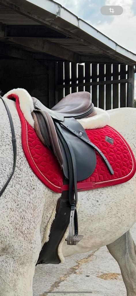 Selle a vendre, Dieren en Toebehoren, Paarden en Pony's | Zadels, Zo goed als nieuw, Springen, Ophalen of Verzenden