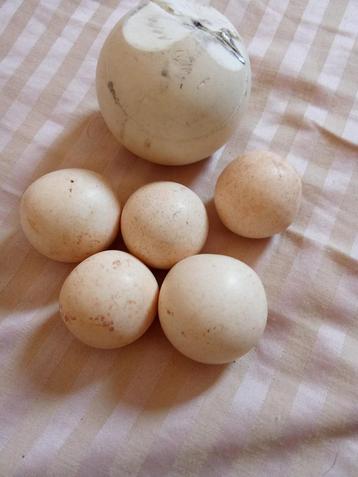 Gemstones beschikbaar voor biedingen