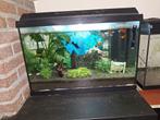 Aquarium 60x30, Dieren en Toebehoren, Ophalen of Verzenden