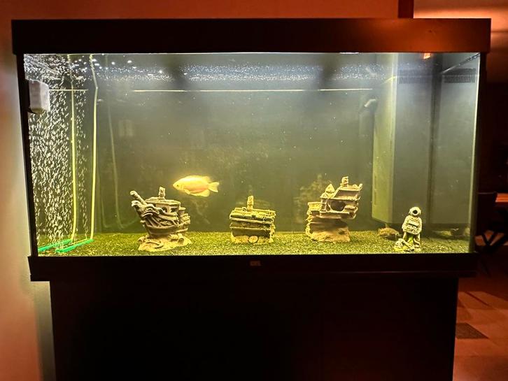 Aquarium Juwel 350 met kast, Dieren en Toebehoren, Vissen | Aquaria en Toebehoren, Zo goed als nieuw, Gevuld zoetwateraquarium