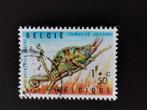 Belgique 1965 - reptiles - caméléon - Zoo d'Anvers, Animal et Nature, Affranchi, Enlèvement ou Envoi