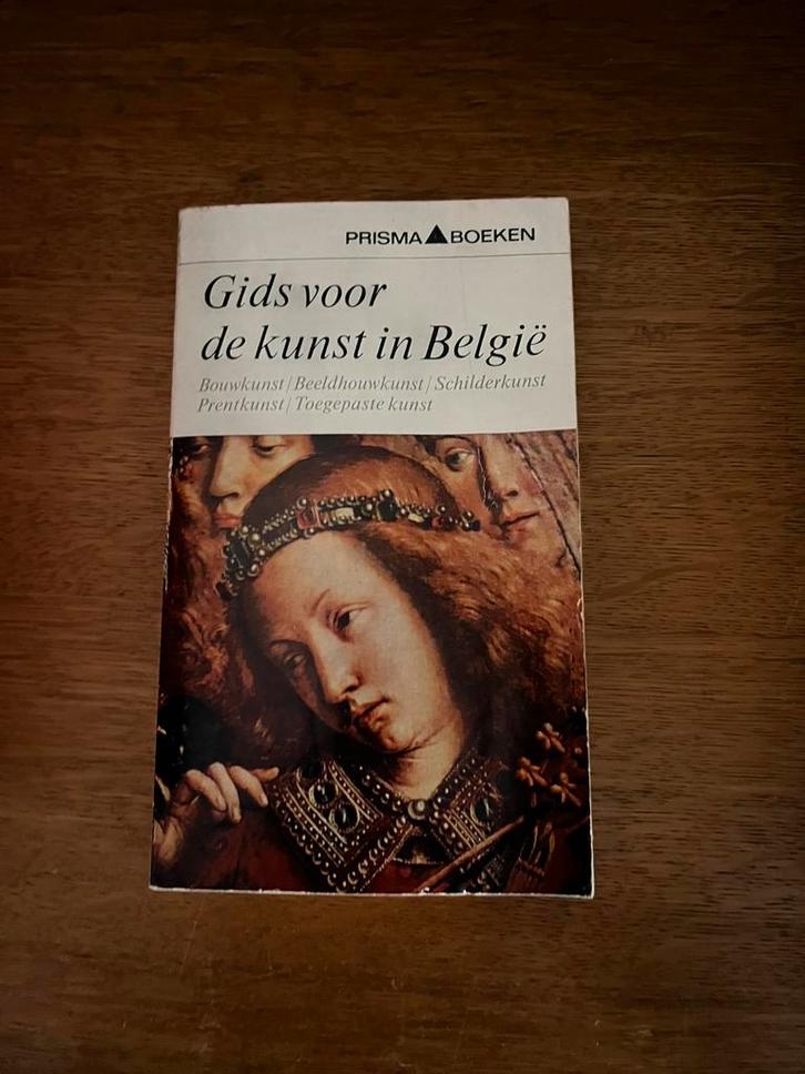 Gids voor de kunst in Belgie, Boeken, Historische romans, Zo goed als nieuw, Ophalen