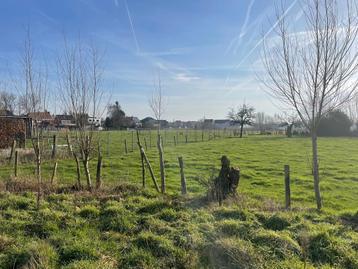 Grond te koop in Torhout beschikbaar voor biedingen