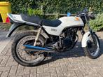 Honda cb 250 RS Mc02 1980, 250 cc, Sport, 1 cilinder