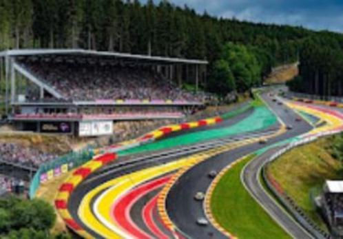 F1 Spa tickets + camping + parking + fanpackage, Tickets & Billets, Événements & Festivals, Deux personnes